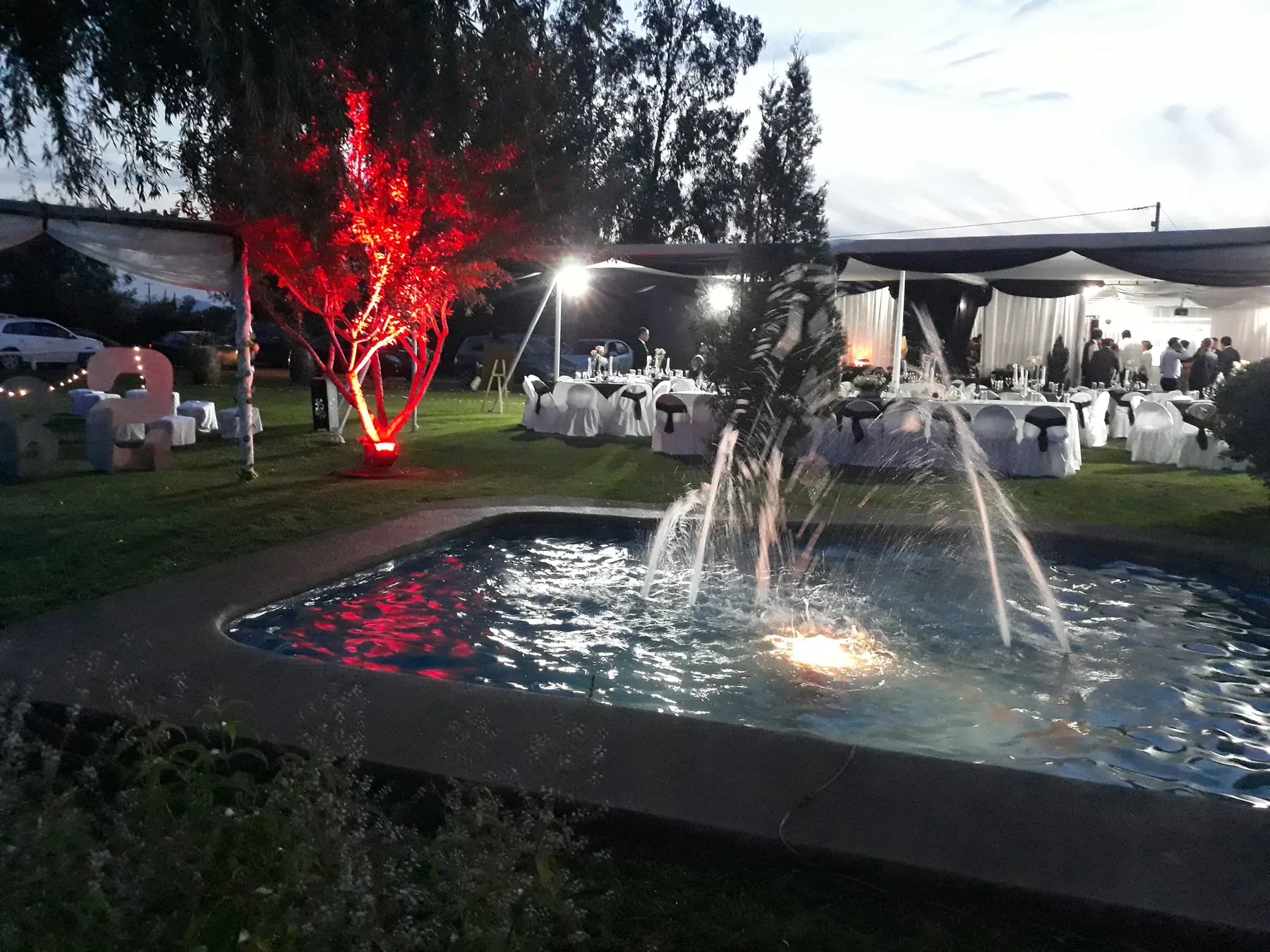 Piscina iluminada durante un evento nocturno en Ailyn